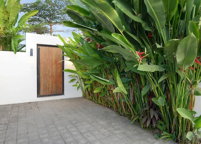 Garden Pererenan By Breig Villa Canggu